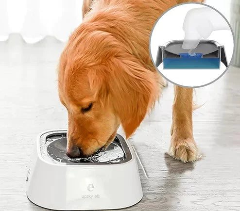 Bebedero Anti Derrame para Mascotas: Hidratación Sin Preocupaciones